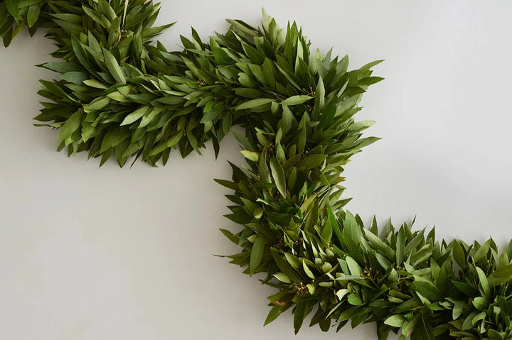 6' Edible Organic Bay Leaf Garland (Free Shipping!)