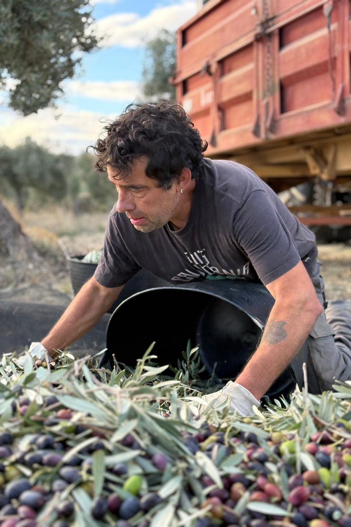 Olivar Cúrate Extra Virgin Olive Oil